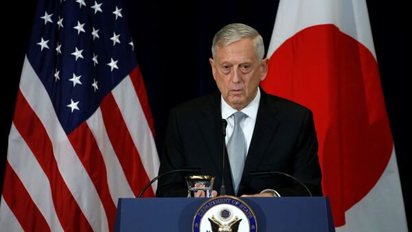 James Mattis, secretario de Defensa de EEUU - Sputnik Mundo