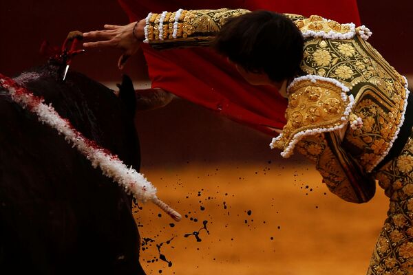 Las fotos de los eventos más destacados de los últimos siete días - Sputnik Mundo