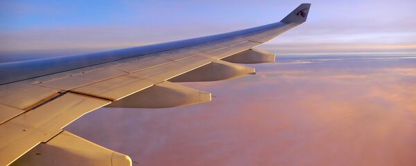 Un avión (imagen referencial) Un avión (imagen referencial) - Sputnik Mundo