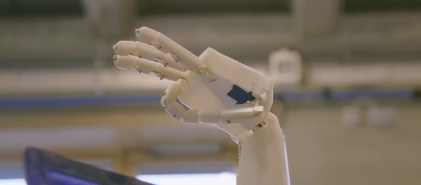 ASLAN, el robot que habla el lenguaje de signos - Sputnik Mundo