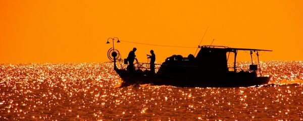 Pesca (imagen referencial) - Sputnik Mundo