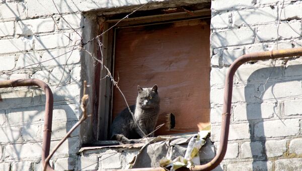 Donbás, Ucrania - Sputnik Mundo