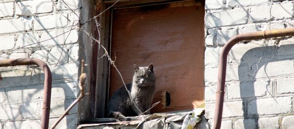 Donbás, Ucrania - Sputnik Mundo