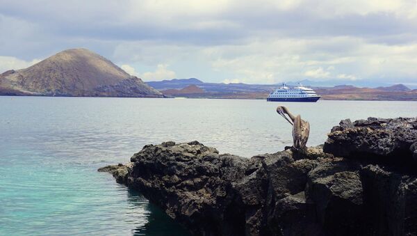 Las Islas Galápagos - Sputnik Mundo