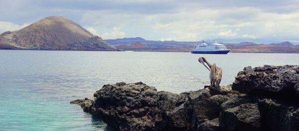 Las Islas Galápagos - Sputnik Mundo