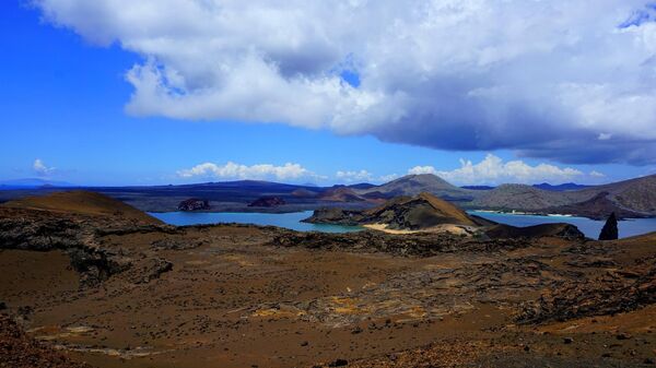 Las Islas Galápagos - Sputnik Mundo