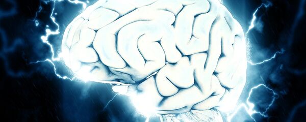Cerebro, imagen referencial - Sputnik Mundo