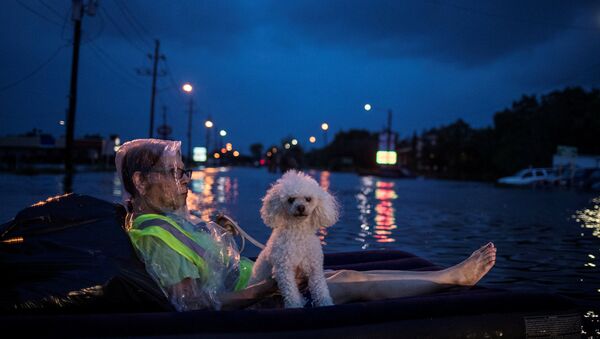Inundaciones en Houston Inundaciones en Houston - Sputnik Mundo
