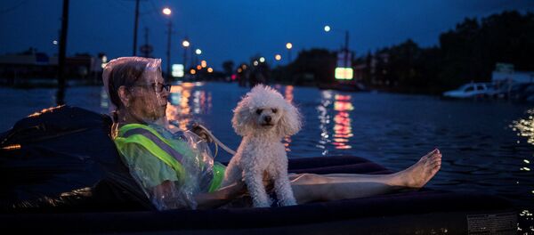 Inundaciones en Houston Inundaciones en Houston - Sputnik Mundo