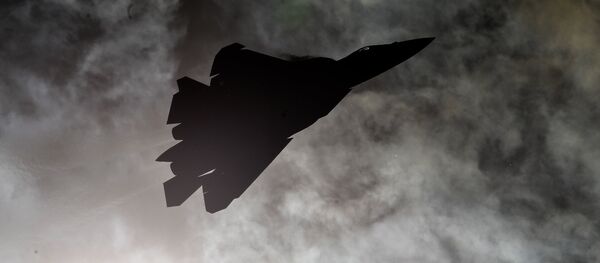 La silueta de un caza - Sputnik Mundo