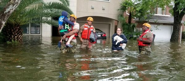 Consecuencias del huracán Harvey Consecuencias del huracán Harvey - Sputnik Mundo