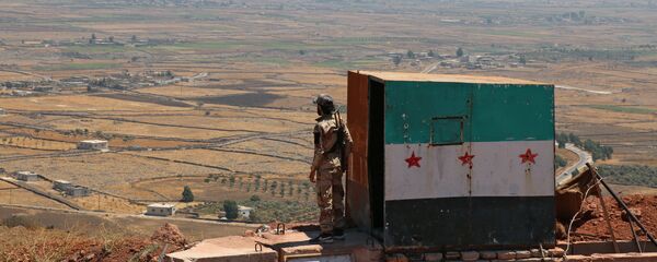 Situación en Siria - Sputnik Mundo
