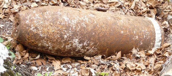 Bomba antigua (imagen referencial) - Sputnik Mundo