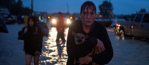 Inundación en Texas Inundación en Texas - Sputnik Mundo