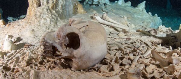 Cráneo encontrado en la cueva Chan Hol, península de Yucatán, México - Sputnik Mundo