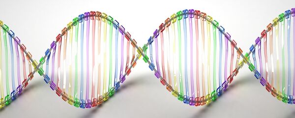 Un modelo de la ADN Un modelo de la ADN - Sputnik Mundo