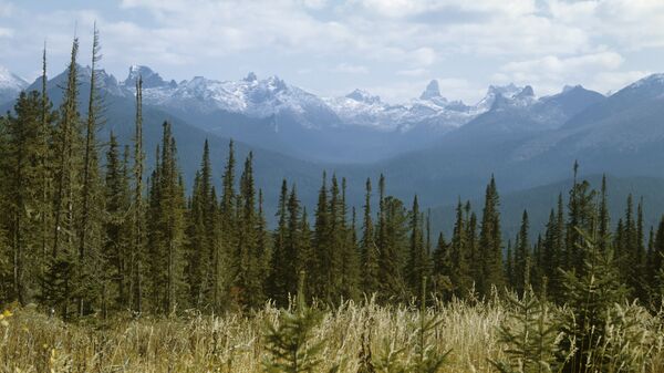 Yergaki range in the West Sayany mountain range, southern Siberia. (File) - Sputnik Mundo