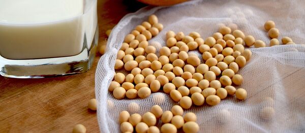 Soja - Sputnik Mundo