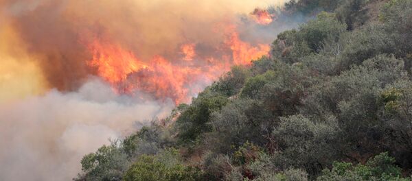Incendio forestal en California - Sputnik Mundo