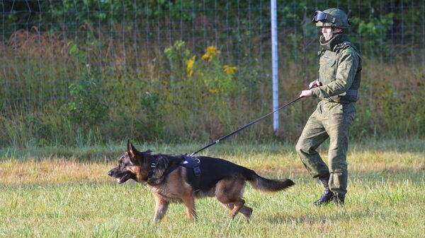 La preparación para los ejercicios militares ruso-bielorrusos Zapad 2017 - Sputnik Mundo