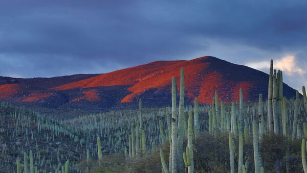 Un paisaje de México (imagen referencial) - Sputnik Mundo