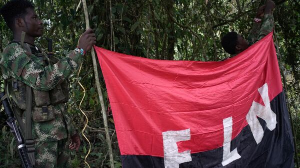 El estandarte del Ejército de Liberación Nacional (ELN)  - Sputnik Mundo