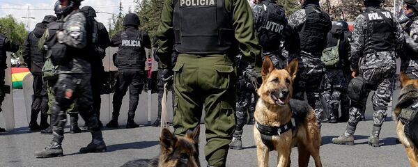 Police dogs are pictured as police stand guard during an event celebrating Saint Roque patron of pets day in La Paz city, Bolivia - Sputnik Mundo