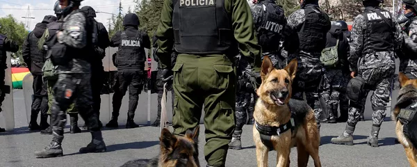 Police dogs are pictured as police stand guard during an event celebrating Saint Roque patron of pets day in La Paz city, Bolivia Police dogs are pictured as police stand guard during an event celebrating Saint Roque patron of pets day in La Paz city, Bolivia - Sputnik Mundo