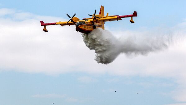 Incendio forestal en Los Ángeles Incendio forestal en Los Ángeles - Sputnik Mundo