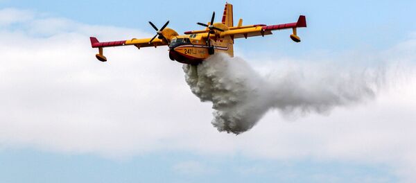 Incendio forestal en Los Ángeles - Sputnik Mundo