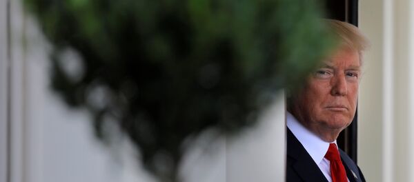 Donald Trump, presidente de EEUU Donald Trump, presidente de EEUU - Sputnik Mundo
