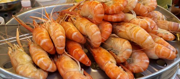 Camarón - Sputnik Mundo