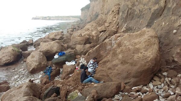 Paleontólogos argentinos descubren huesos de aves prehistóricas - Sputnik Mundo