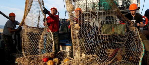 Pesca en Rusia - Sputnik Mundo