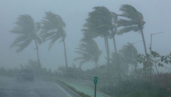 El huracán Irma - Sputnik Mundo