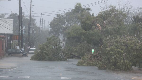 Consecuencias del huracán Irma en Puerto Rico (archivo) - Sputnik Mundo