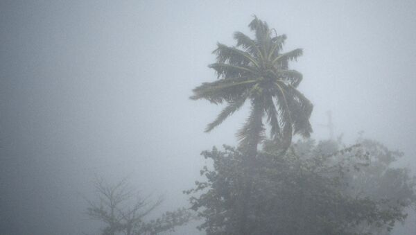 Consecuencias del huracán Irma en Puerto Rico - Sputnik Mundo