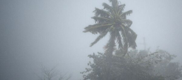 Consecuencias del huracán Irma en Puerto Rico - Sputnik Mundo