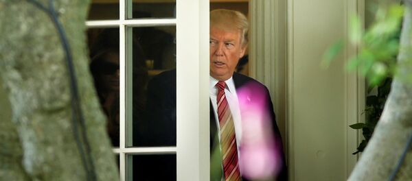 Donald Trump, presidente de EEUU - Sputnik Mundo