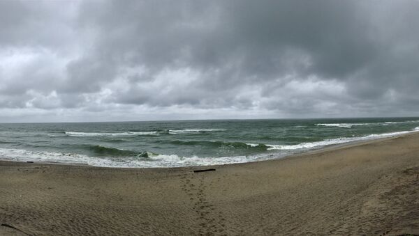 Aguas del mar Báltico Aguas del mar Báltico - Sputnik Mundo