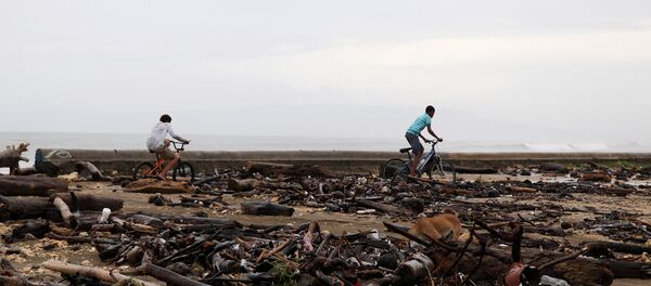 Consecuencias del huracán Irma - Sputnik Mundo