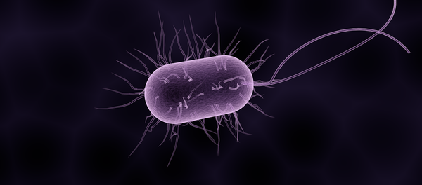 Bacteria (ilustración gráfica) - Sputnik Mundo