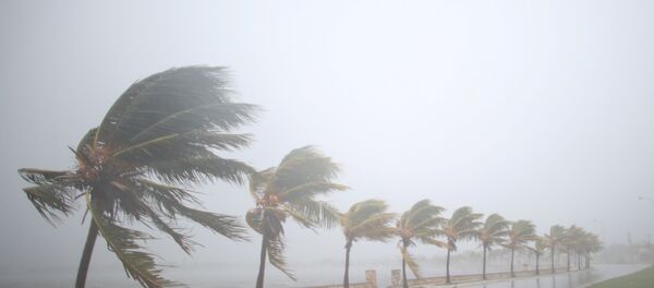 Huracán Irma se acerca a Cuba Huracán Irma se acerca a Cuba - Sputnik Mundo