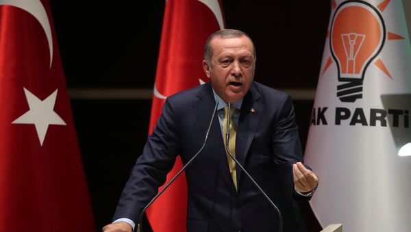 Recep Tayyip Erdogan, presidente de Turquía (archivo) - Sputnik Mundo