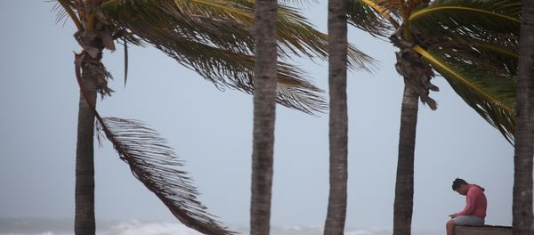 Situación en Florida Situación en Florida - Sputnik Mundo