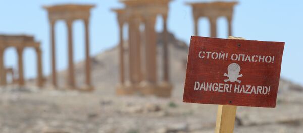Campo de minas en Palmira - Sputnik Mundo