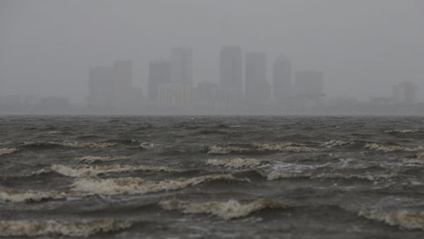 Situación en el estado de Florida, EEUU Situación en el estado de Florida, EEUU - Sputnik Mundo