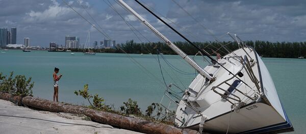 Concecuencias del huracán Irma - Sputnik Mundo