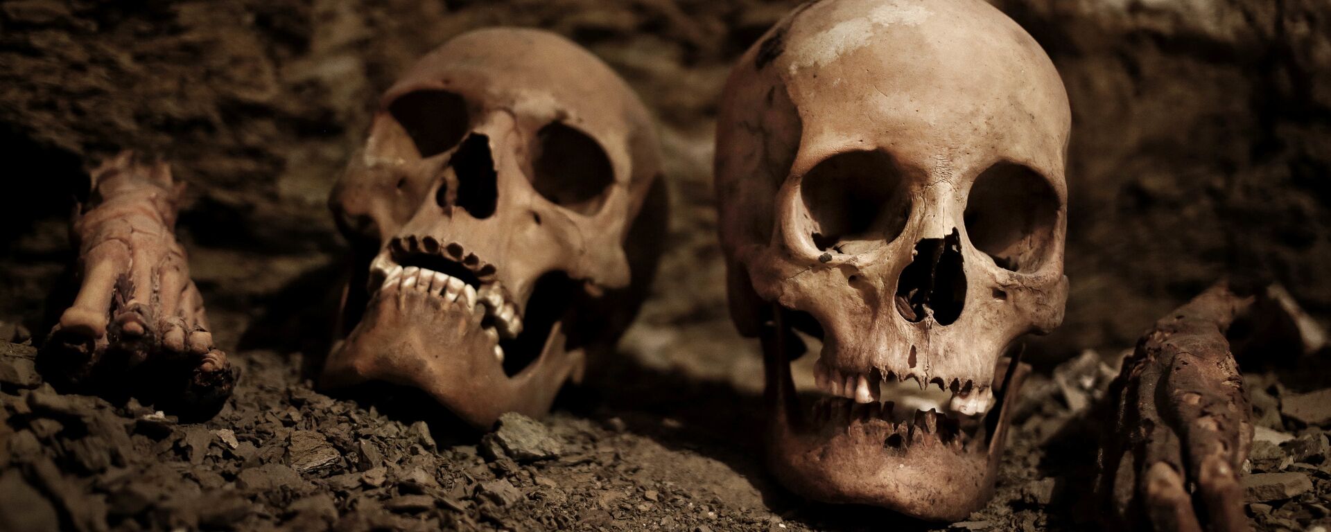 Cráneos humanos - Sputnik Mundo, 1920, 25.12.2022