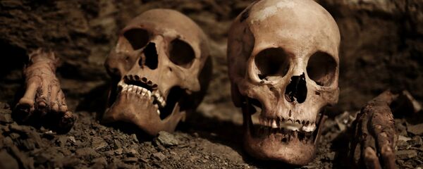 Cráneos humanos - Sputnik Mundo